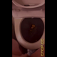 Emi sits in a plane bathroom and poops, then shows off her soft turd, picks it up in her hand and shows the bowl. Vertical format video. About 7.5 minutes.
